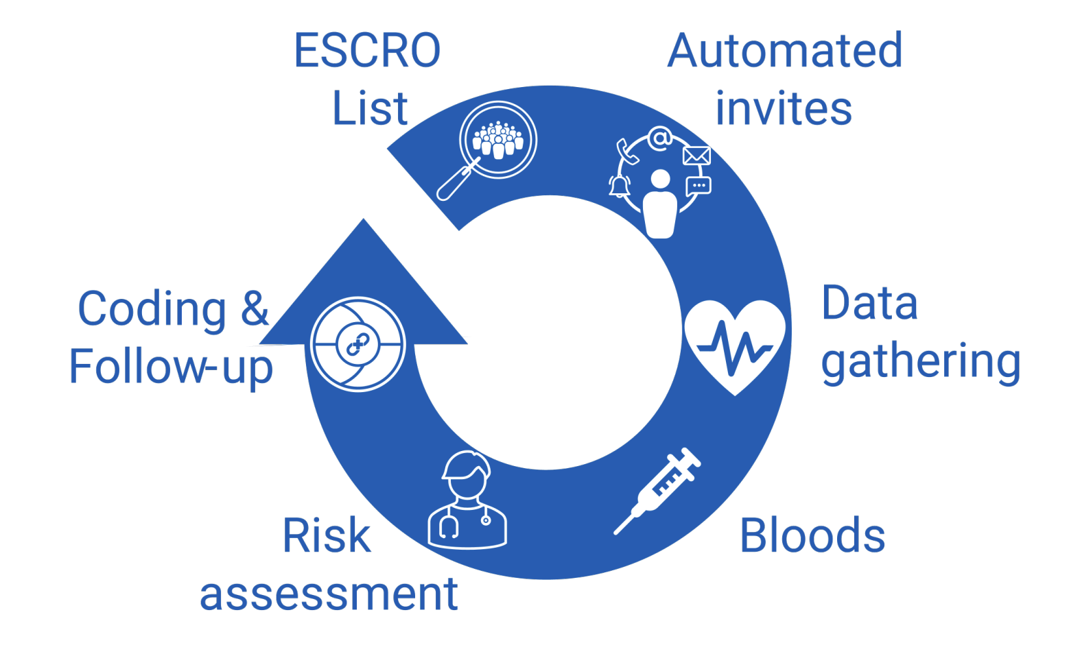 MedLink CVD Risk Cycle